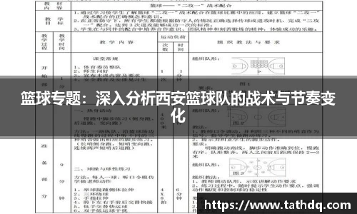 bsports官网入口